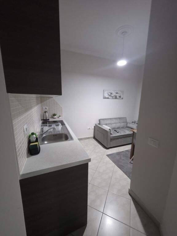 Apartament 1+1 prane Deliorgjit (per Studente)