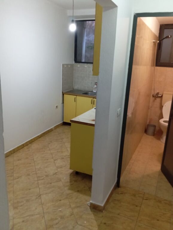 Apartment 1+1 for rent