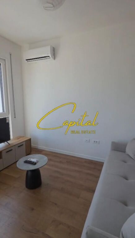 APARTMENT FOR RENT 1+1 5 MAY 65,000 LEKE