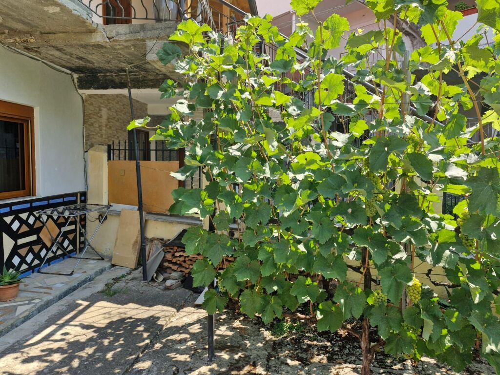 Private house 2+1 280 m² with yard and garage on floor 0 for sale by owner