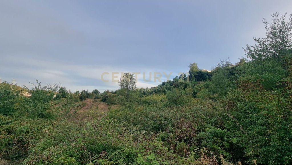 Tokë Për Shitje në KOMBINAT, Sharrë, Tiranë - 48,400,000LEKE | 9680 m²