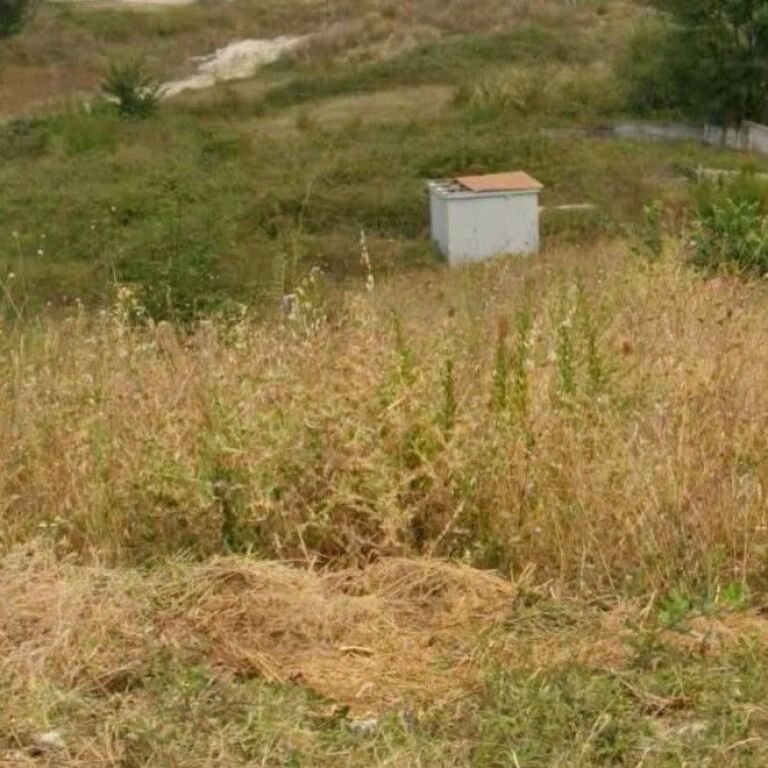 🌳 TERRENO IN VENDITA 6.600 m² | AUTOSTRADA TIRANA–DURRËS 📍