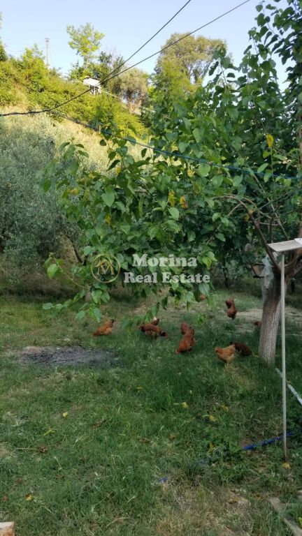 Qera | Shtëpi private 2 + 1 | Picallë | 500 €/muaj
