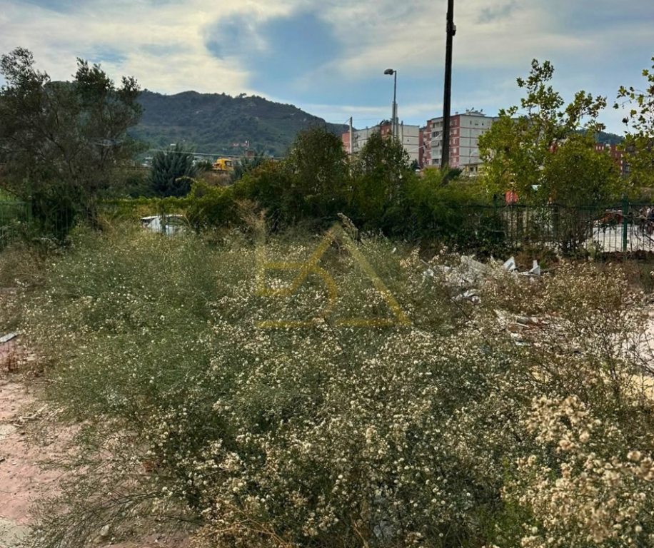OGGETTO + TERRENO IN AFFITTO – VORË, TIRANA