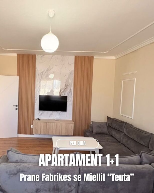 Apartment 1+1 for rent near the “Teuta” Flour Factory