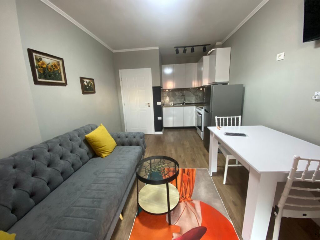 Ish dogana apartament 1+1 me qira 48,000 leke