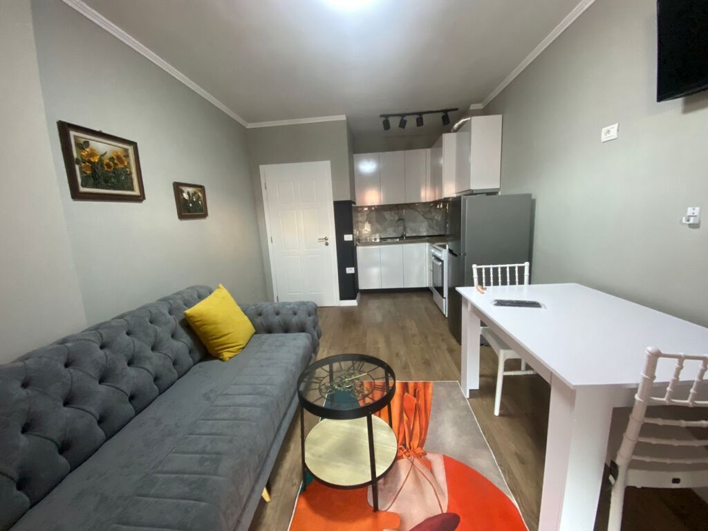 Ish dogana apartament 1+1 me qira 48,000 leke