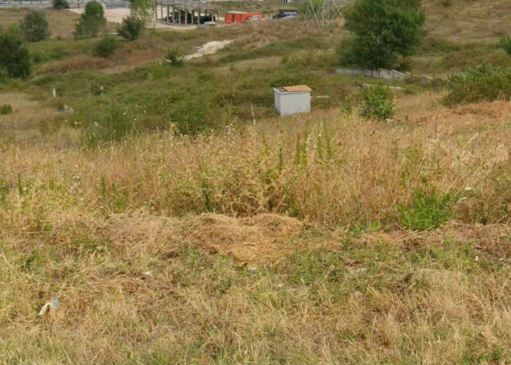 🌳SHITET TOKË 6,600 m² – PRANË AUTOSTRADËS TIRANË-DURRËS