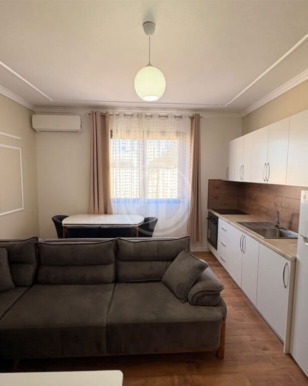 Apartment 1+1 for rent near the “Teuta” Flour Factory