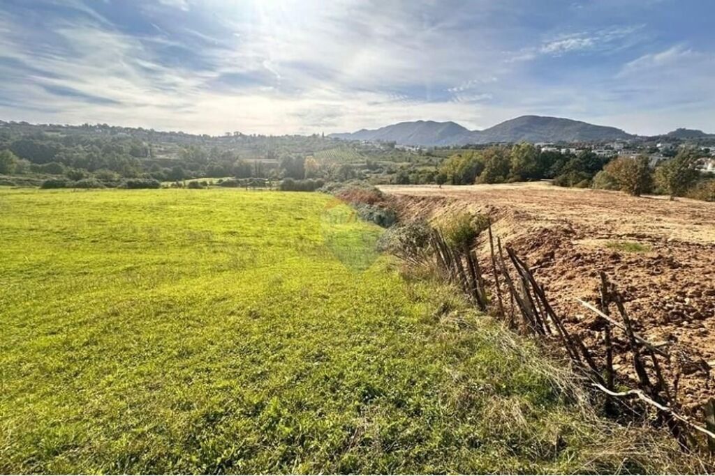 Offriamo terreno per costruzione vicino a T.E.G