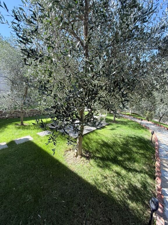 CASA CON CORTILE IN AFFITTO A PETRELE