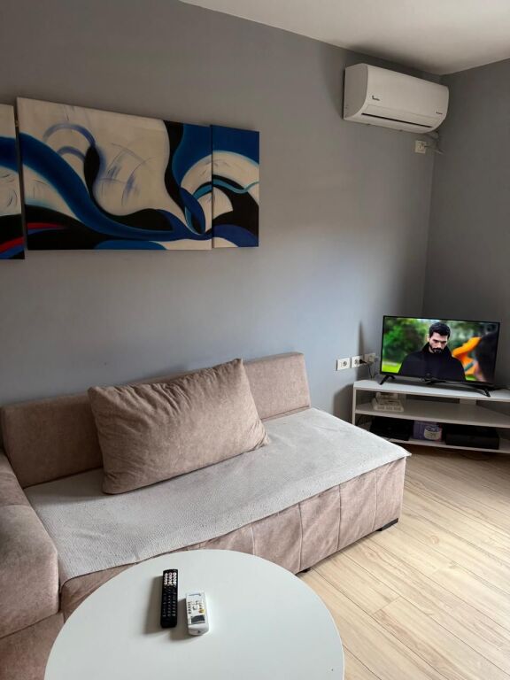Apartment 1+1 for rent