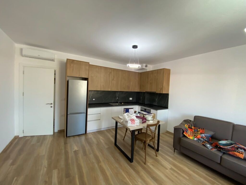Rent, 2 Apartments 1+1 + Studios, Dibra Street, Tirana Empire74569