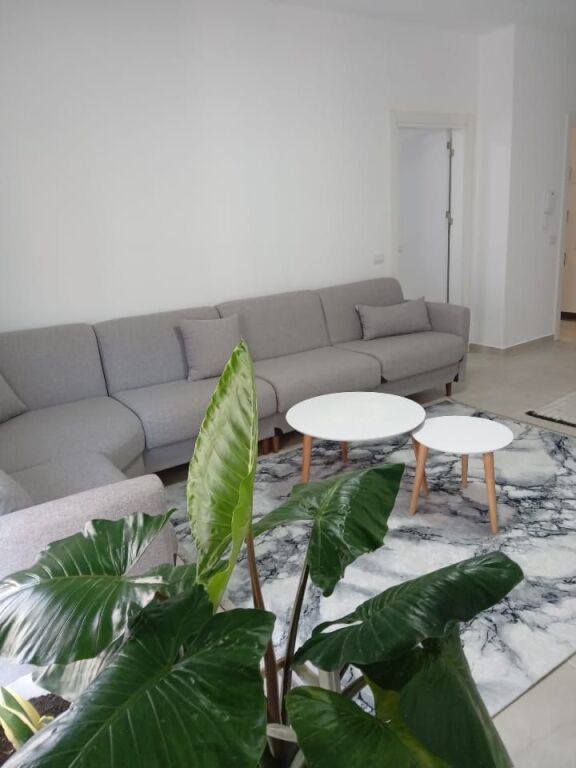 Apartament rent