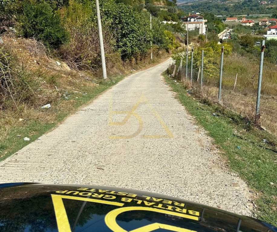 SHITET TOKË ME PEMËTORE – ROMANAT, DURRËS