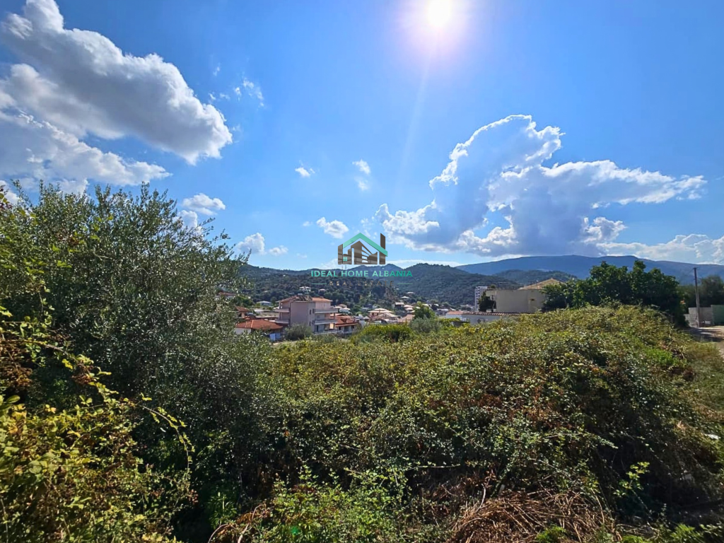 DY TRUALLE NË SHITJE – KUZUM BABA, VLORË
