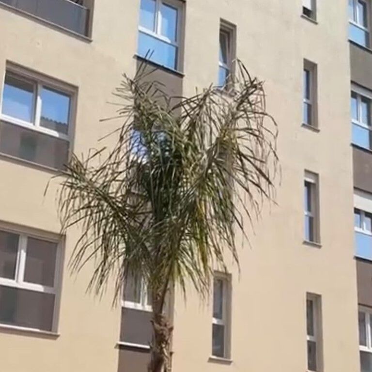 🏡 SHITET APARTAMENT 1+1 – GOLEM