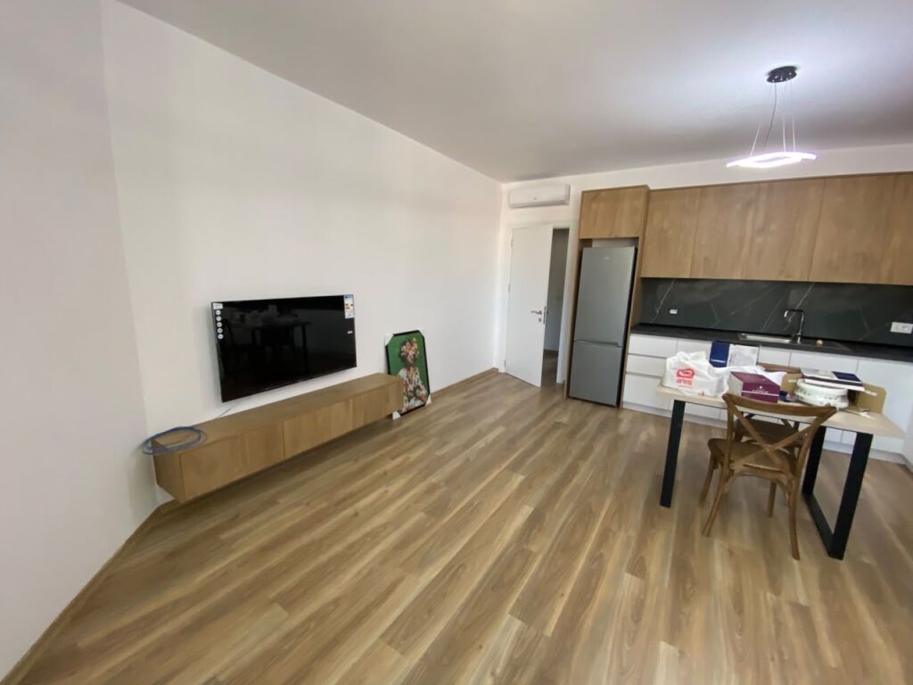 Rent, 2 Apartments 1+1 + Studios, Dibra Street, Tirana Empire74569