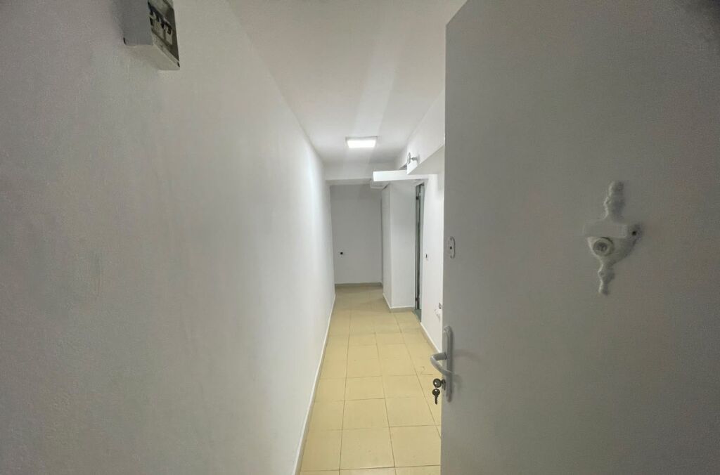 JEPET ME QIRA MAGAZINË NË QENDËR TË TIRANËS
