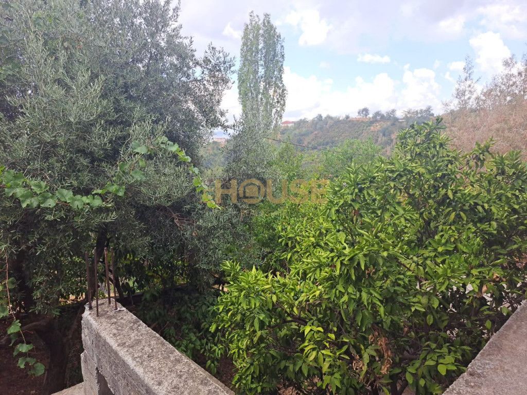 SHTEPI PRIVATE PER SHITJE NE SHKOZE