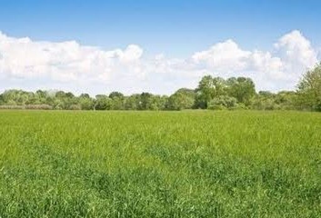 SHESIM TOKE NE KAMEZ -500 M2