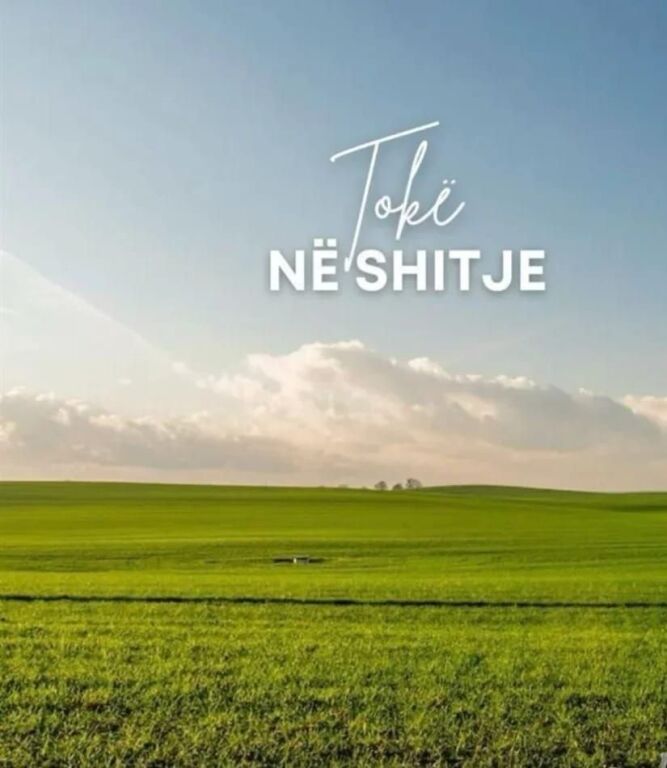 SHITET TOKE NE TAPIZE- DRITAS 10.500 M2