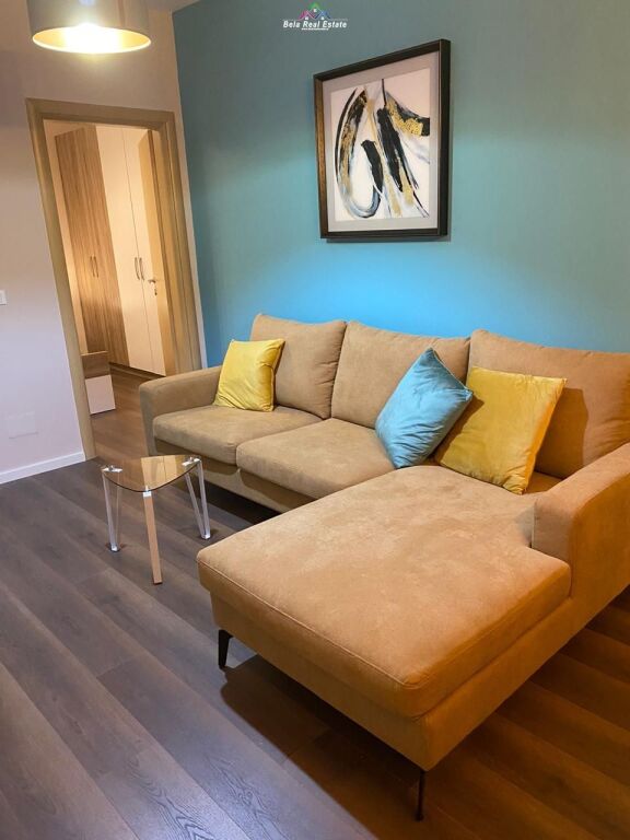 Apartament Me Qera 1+1 tek Kompleksi Delijorgji (ID B210882) Tirane.