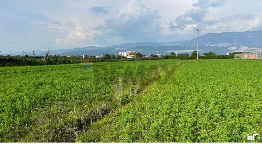 Truall - Për Shitje - Fushë Prezë, Tiranë