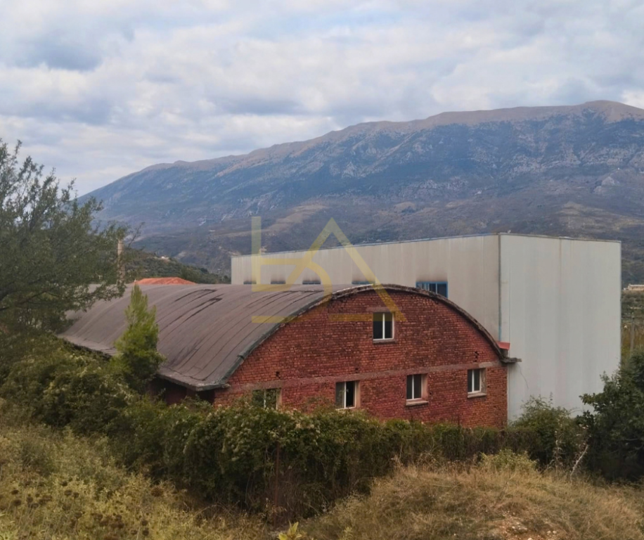 VENDESI FABBRICA MEDICALE FUNZIONALE – TEPELENË