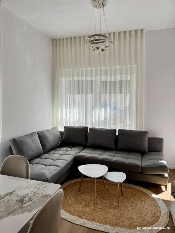 Appartamento In Affitto 1+1 A Ali Demi (ID B2101929) Tirana