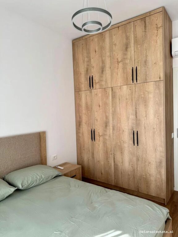 Appartamento In Affitto 1+1 A Ali Demi (ID B2101929) Tirana