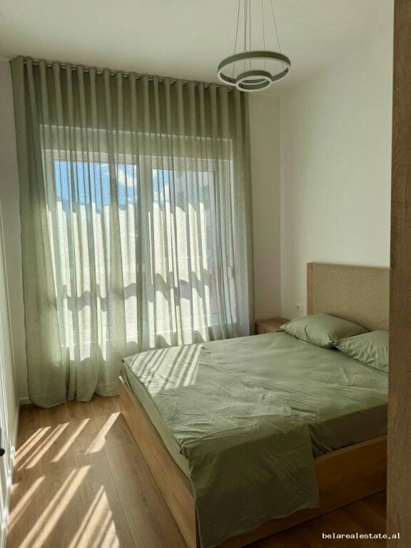 Appartamento In Affitto 1+1 A Ali Demi (ID B2101929) Tirana