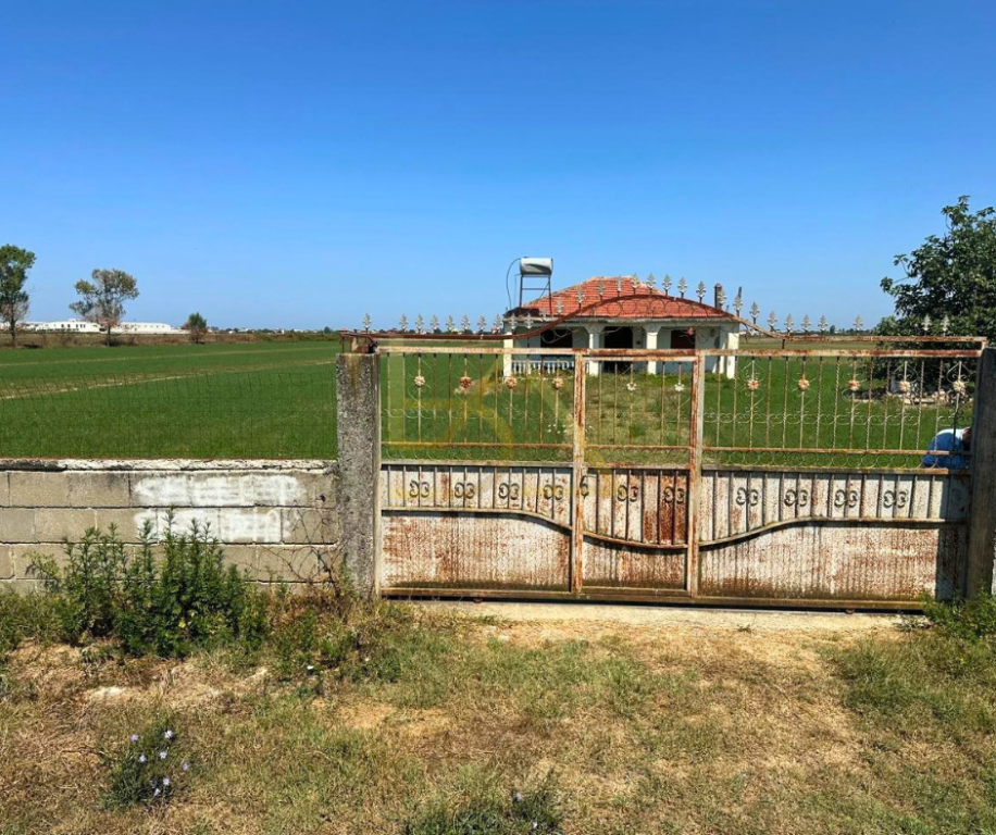 SHITET TOKË – FLLAKË, DURRËS