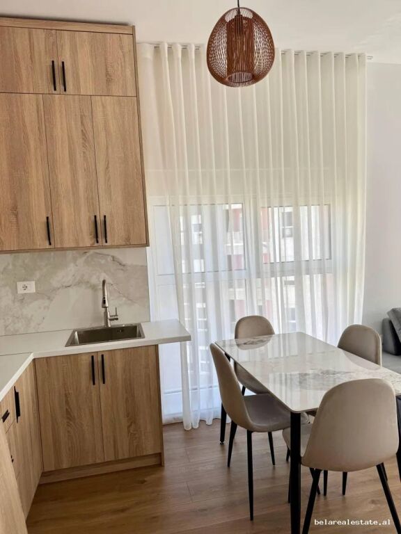 Appartamento In Affitto 1+1 A Ali Demi (ID B2101929) Tirana