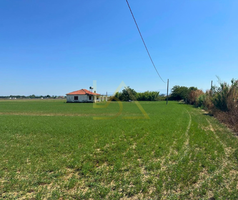 SHITET TOKË – FLLAKË, DURRËS