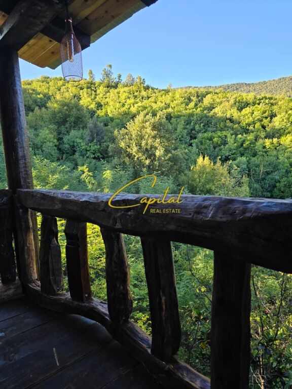 AGOTURIZEM ME QIRA 60.000 M2 IBE E SIPERME 10.000 EURO