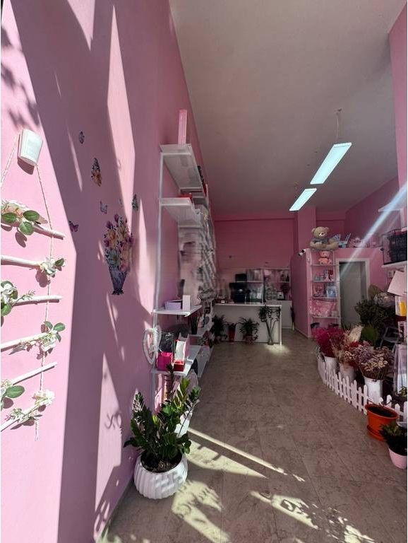SHITET BIZNES – DYQAN LULESH | ISH-FUSHA E AVIACIONIT 8,000 €