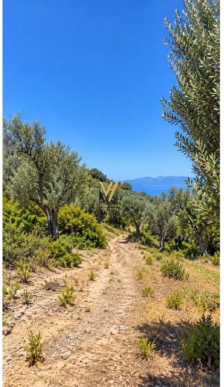 SHITET TOKE 1.500 M2 NE PIQERAS, SARANDE 100.000 EURO