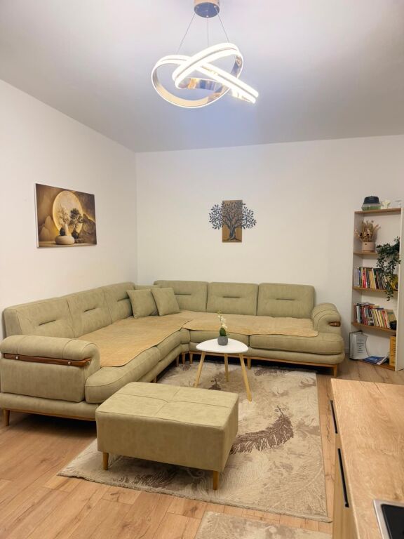 For rent 1+1 until May 15