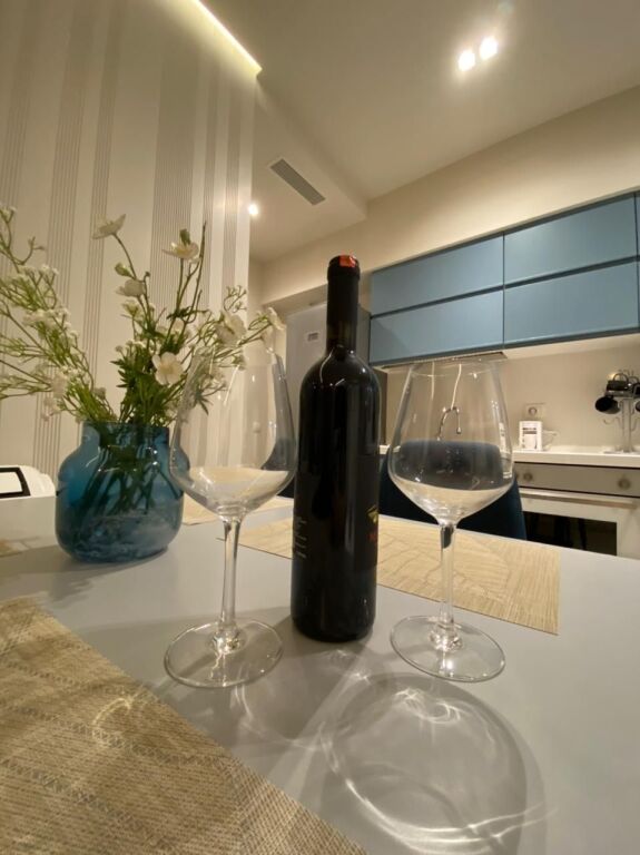 Luxury 2+1 apartment for rent in the Beach area, near the sea !