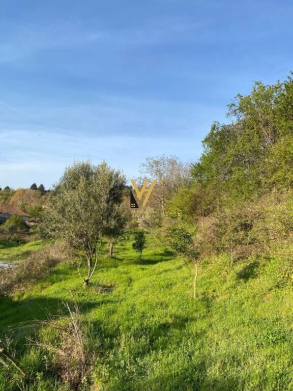 SHITET TOKE 1.300 M2 NE PASKUQAN 273.000 EURO