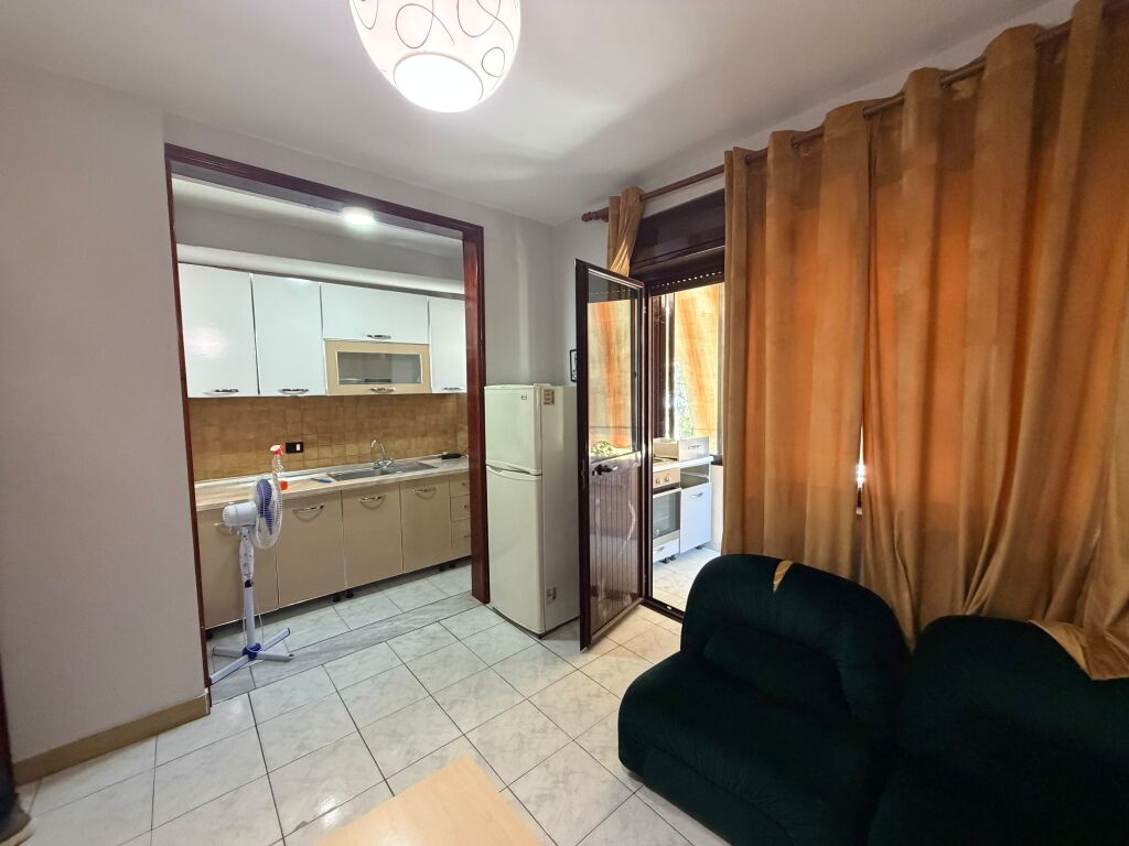 1+1 apartment for long-term rent