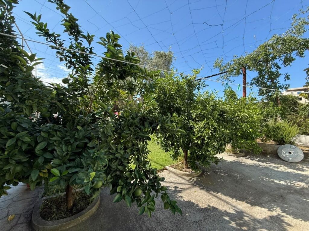 🏠 JEPET SHTEPI 1+1 ME QIRA AFATGJATE – VLORË.