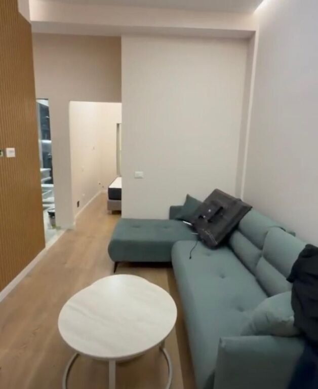 apartment 1+1 for rent in Porcelan