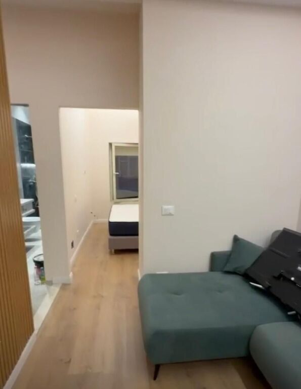 apartment 1+1 for rent in Porcelan