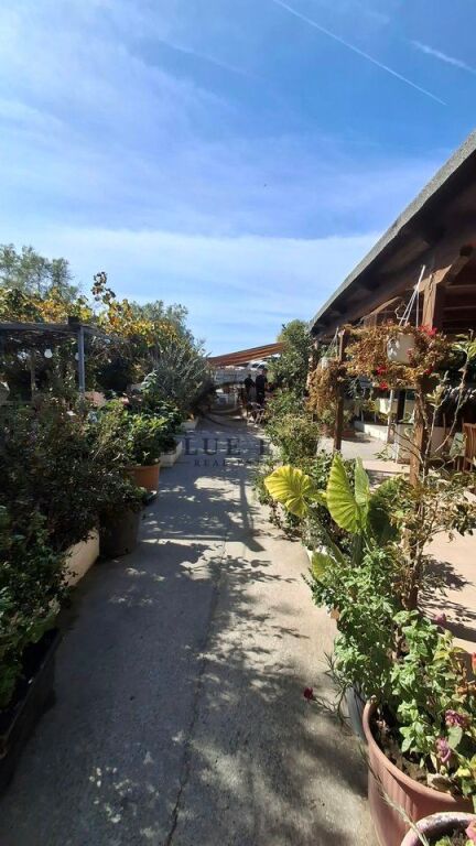 🍽️ RESTAURANT FOR RENT IN CURRILA, DURRËS! 🌊