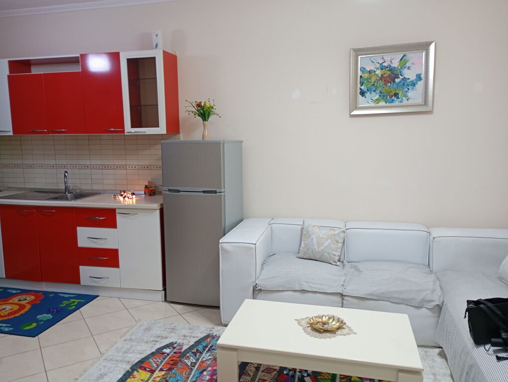 Apartment 1+1 for rent 2nd floor Fresk