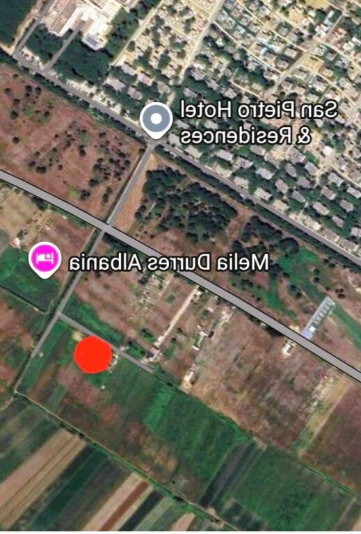 🌿 SHITET TOKË – GJIRI I LALËZIT 📍