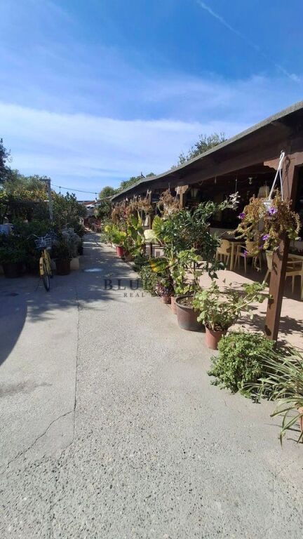 🍽️ RESTAURANT FOR RENT IN CURRILA, DURRËS! 🌊