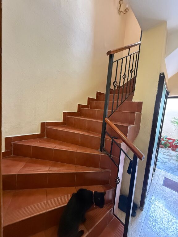🏡 PRIVATE 4-FLOOR HOUSE FOR RENT – BARDHYL STREET